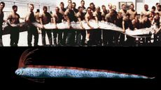 in an image at the top, dozens of military men hold a huge oarfish in a line. Below is an artist impression of a giant oarfish with blueish skin and a red frill on a black background. 