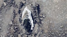 A satellite photo of an arrowhead shaped piece of sea ice that looks like the Starfleet badge from Star Trek