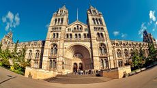 There are lots of free museums in the U.K., such as the Natural History Museum in London.