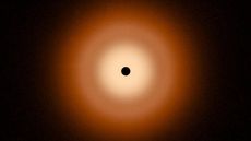 A perfectly smooth disk of dust surrounds a star in an orange-color infrared image