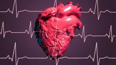 A digital illustration of a 3D heart with EKG lines superimposed on top